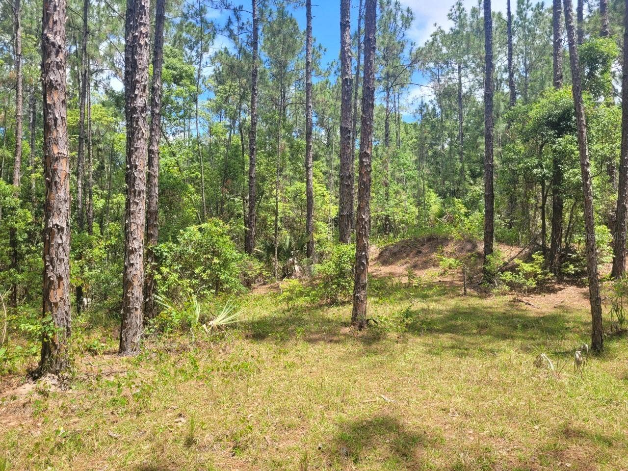 TROPICAL DRIVE, Eustis, FL 32726 TROPICAL DRIVE, Eustis, FL 32726
