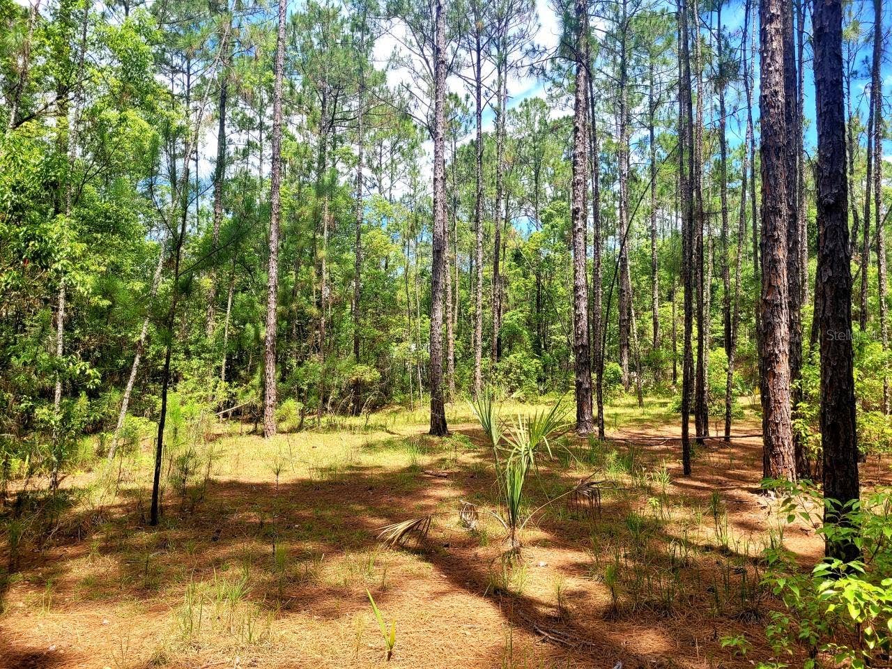 TROPICAL DRIVE, Eustis, FL 32726 TROPICAL DRIVE, Eustis, FL 32726