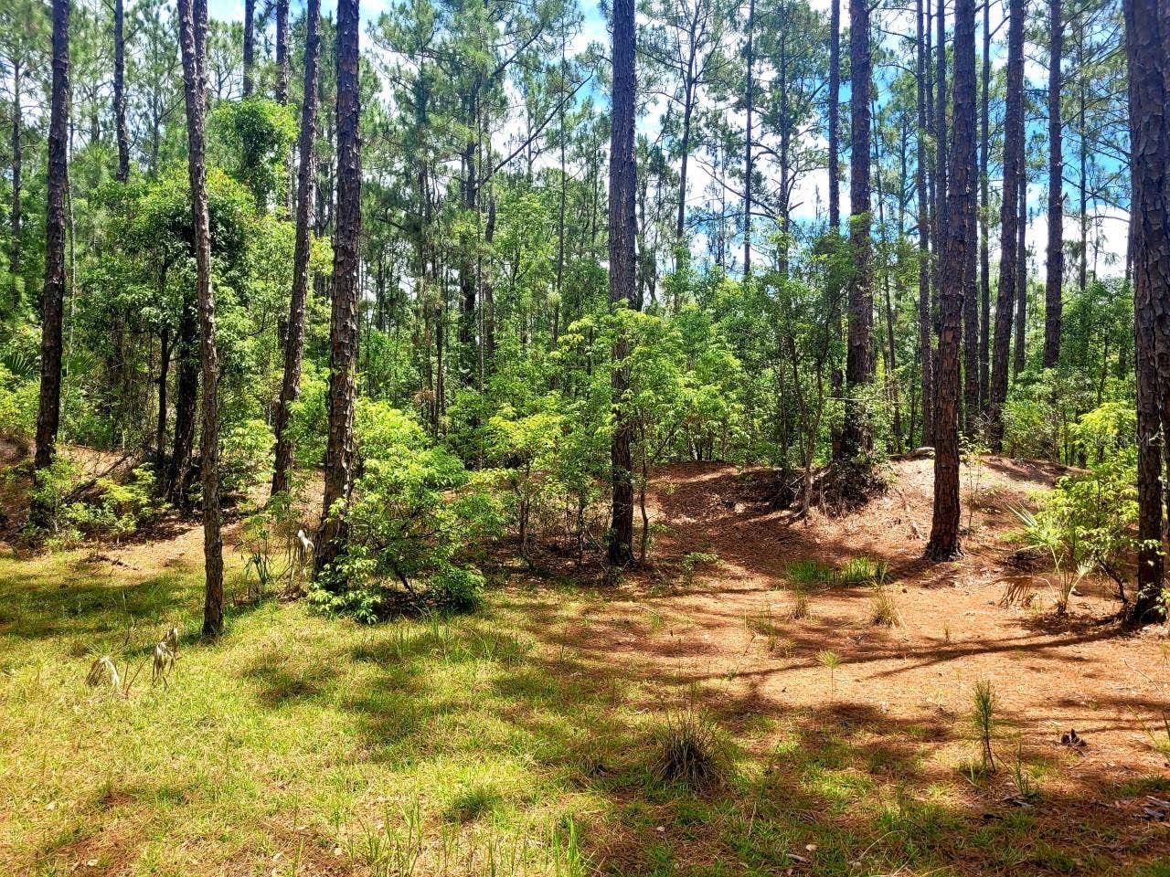 TROPICAL DRIVE, Eustis, FL 32726 TROPICAL DRIVE, Eustis, FL 32726