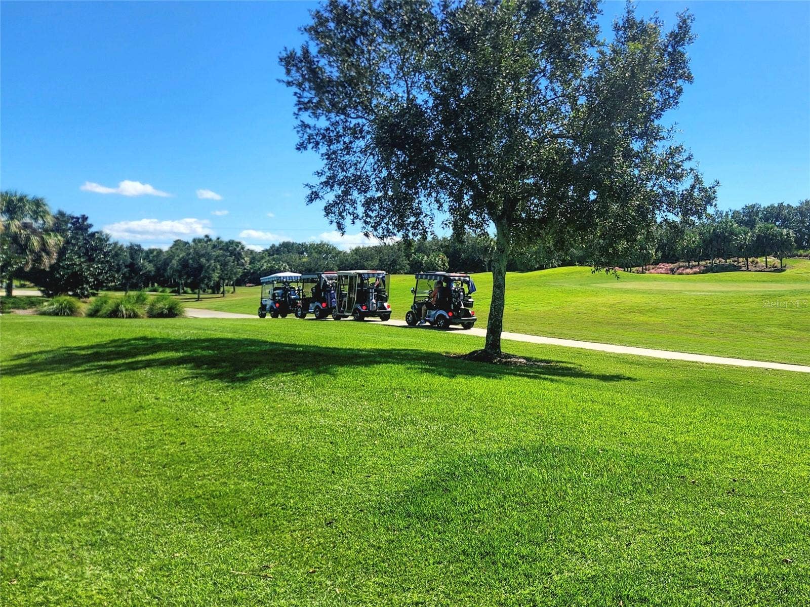 1297 ZOMBAR PL, The Villages, FL 32163 1297 ZOMBAR PL, The Villages, FL 32163