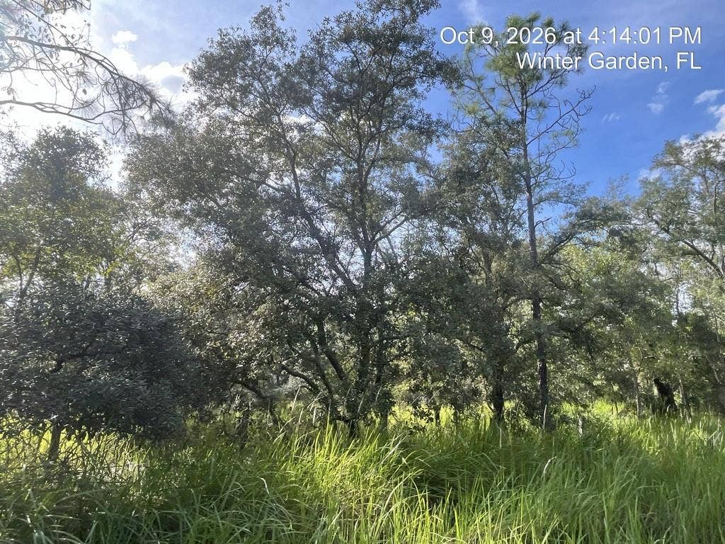 9901 AVALON WOODS DRIVE, Winter Garden, FL 34787 9901 AVALON WOODS DRIVE, Winter Garden, FL 34787
