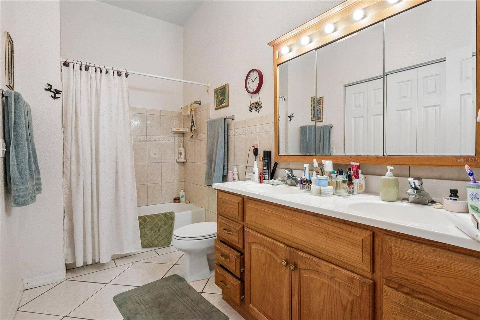 7319 DRIFTING SAND DRIVE, Wesley Chapel, FL 33544