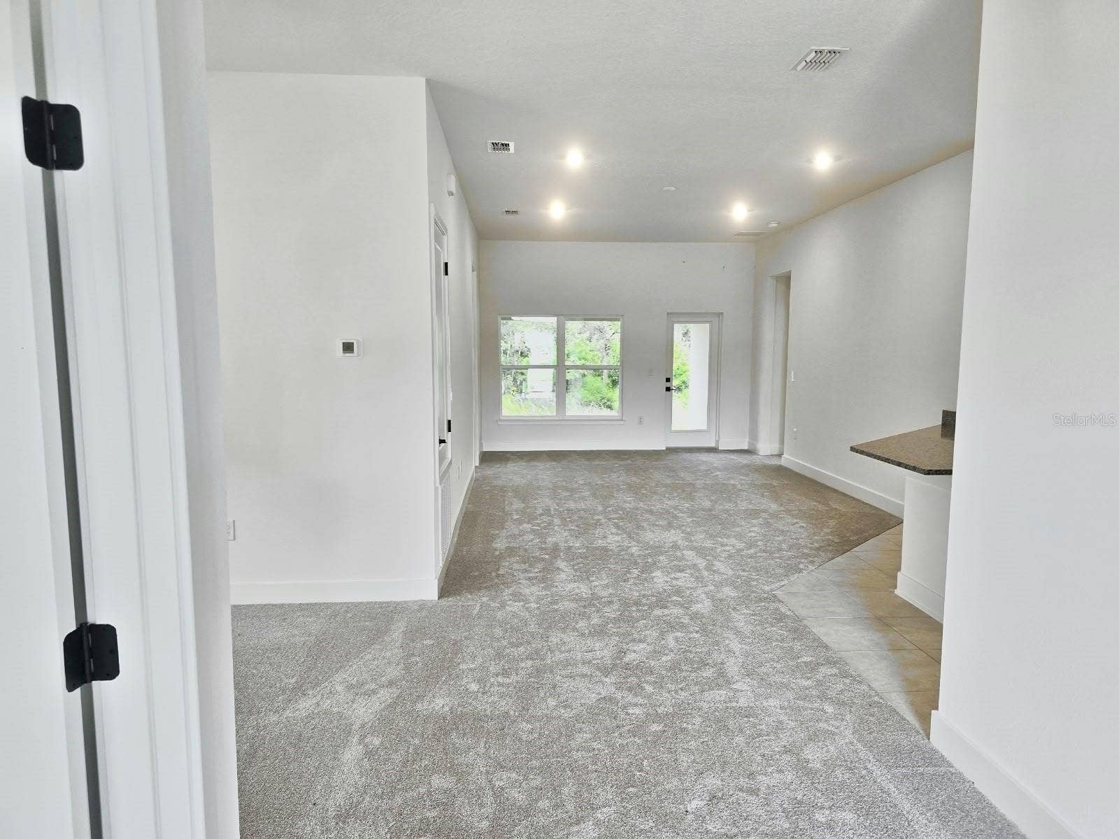 Family room and kitchen