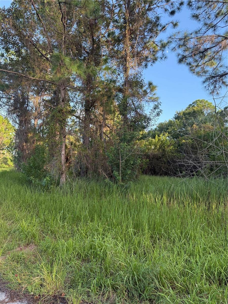 FERGUS AVENUE, Palm Bay, FL 32909