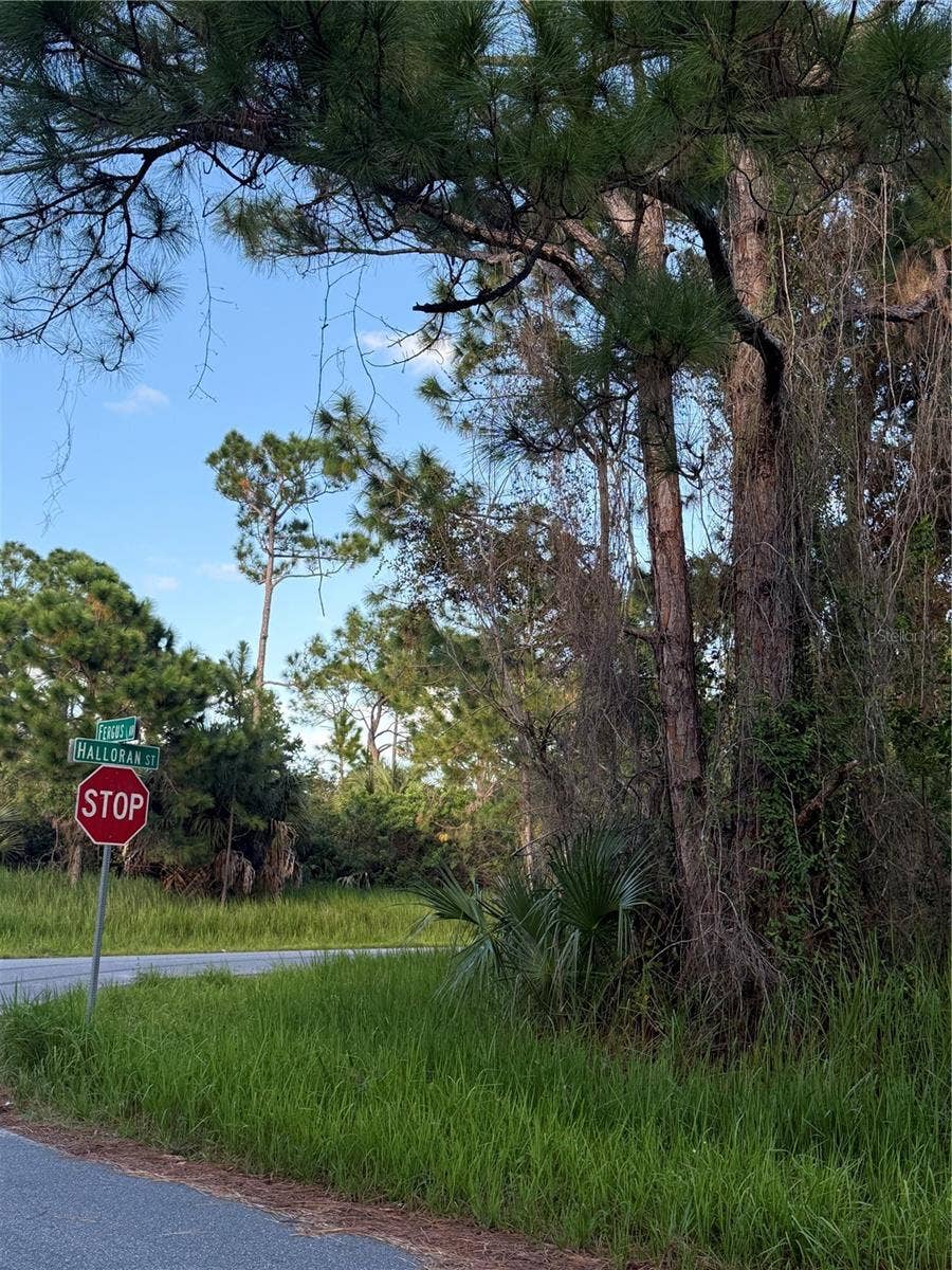 FERGUS AVENUE, Palm Bay, FL 32909