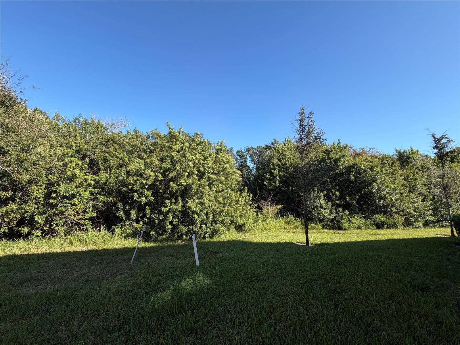 9650 PEMBROOKE PINES DRIVE, Sun City Center, FL 33573 9650 PEMBROOKE PINES DRIVE, Sun City Center, FL 33573