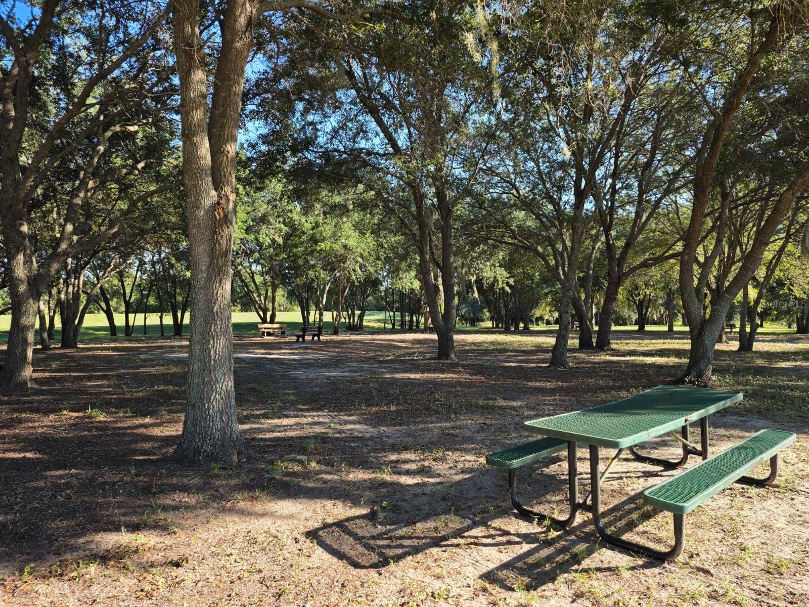 9389 LA SALLE STREET, Groveland, FL 34736 9389 LA SALLE STREET, Groveland, FL 34736
