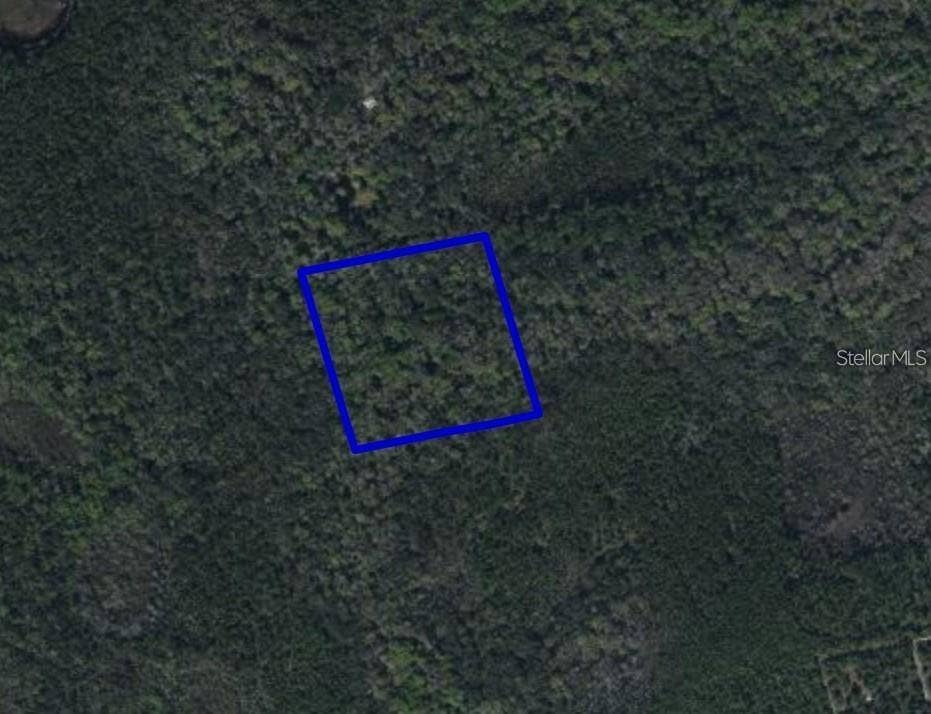095 PINE NEEDLE ROAD, Mims, FL 32754 095 PINE NEEDLE ROAD, Mims, FL 32754