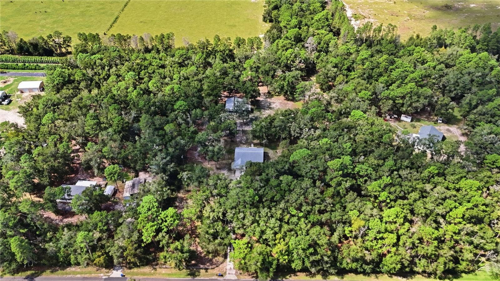 13028 S OAKVIEW AVENUE, Floral City, FL 34436 13028 S OAKVIEW AVENUE, Floral City, FL 34436