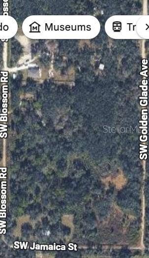 Property photo for 2206 SW BLOSSOM AVENUE, Arcadia, FL