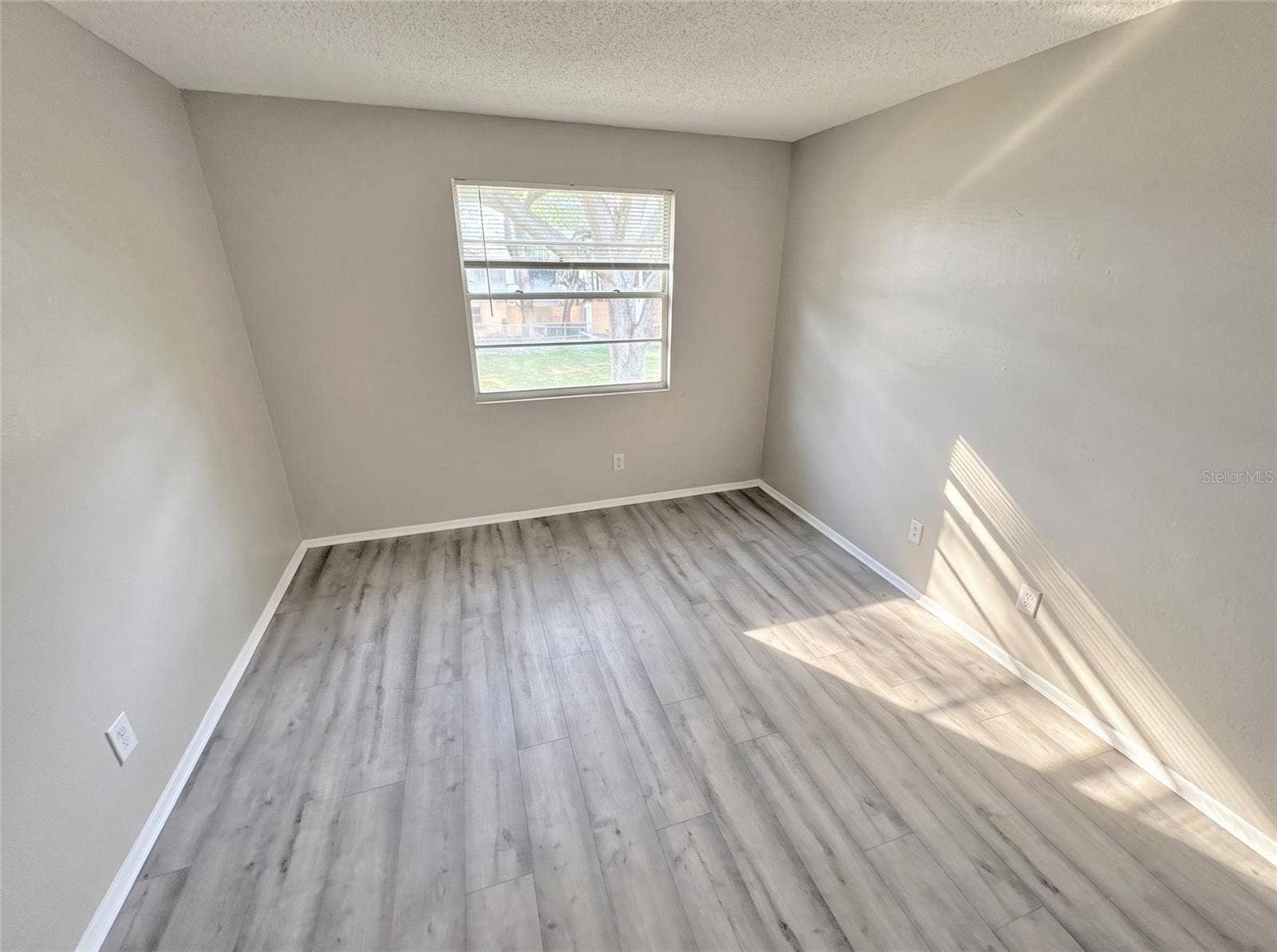 245 THORN TREE PLACE, #245, Brandon, FL 33510 245 THORN TREE PLACE, #245, Brandon, FL 33510