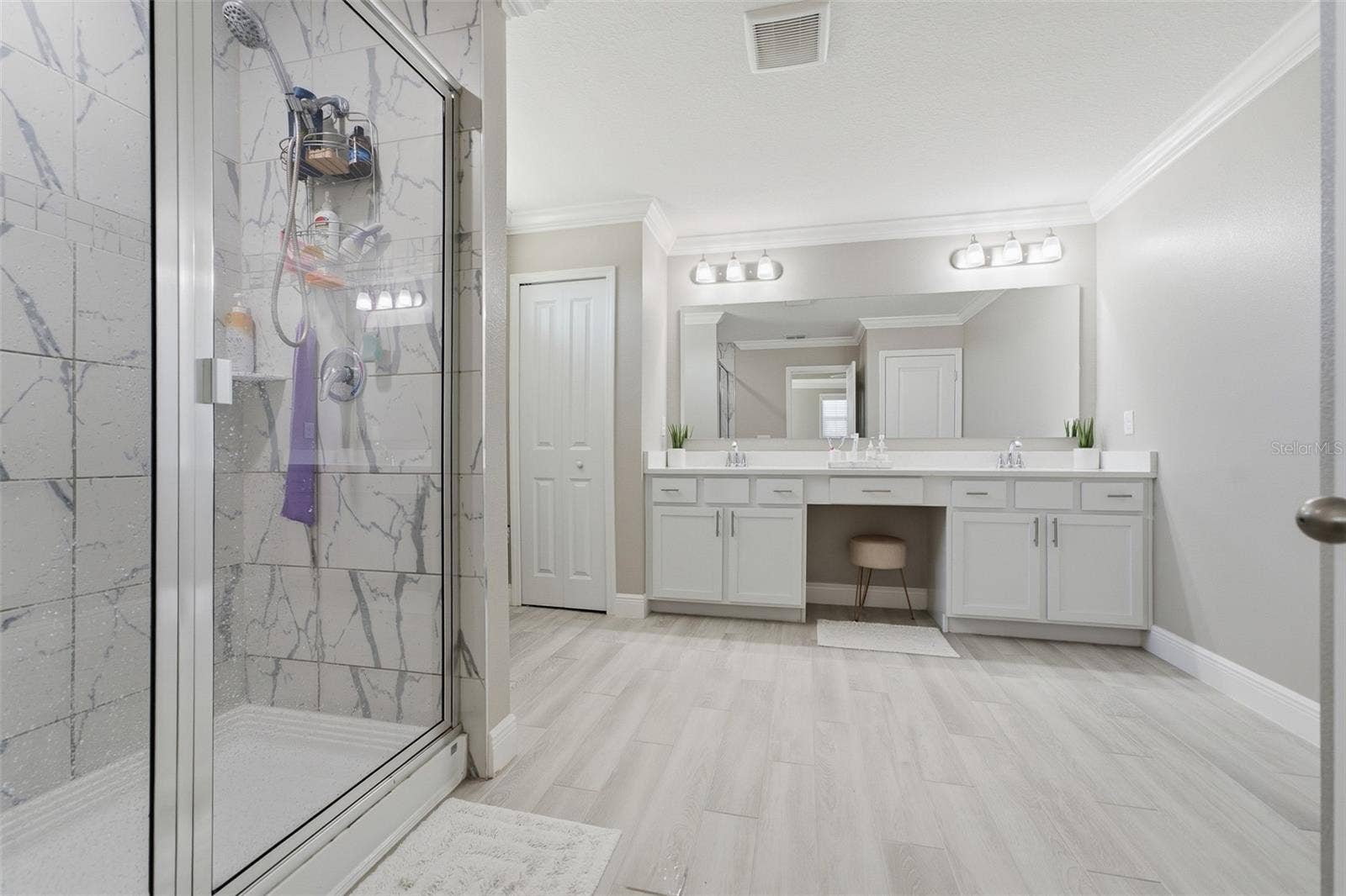 6601 TEMPO WAY, Mascotte, FL 34753 Master Bathroom