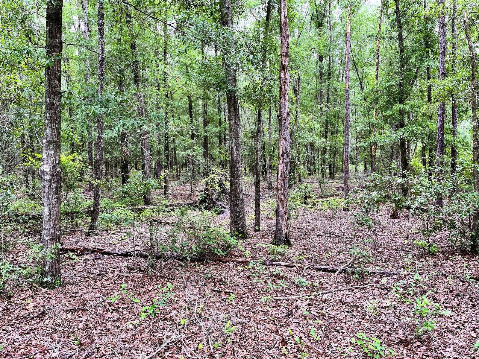 1874 SW NAUTILUS ROAD, Lake City, FL 32024 1874 SW NAUTILUS ROAD, Lake City, FL 32024