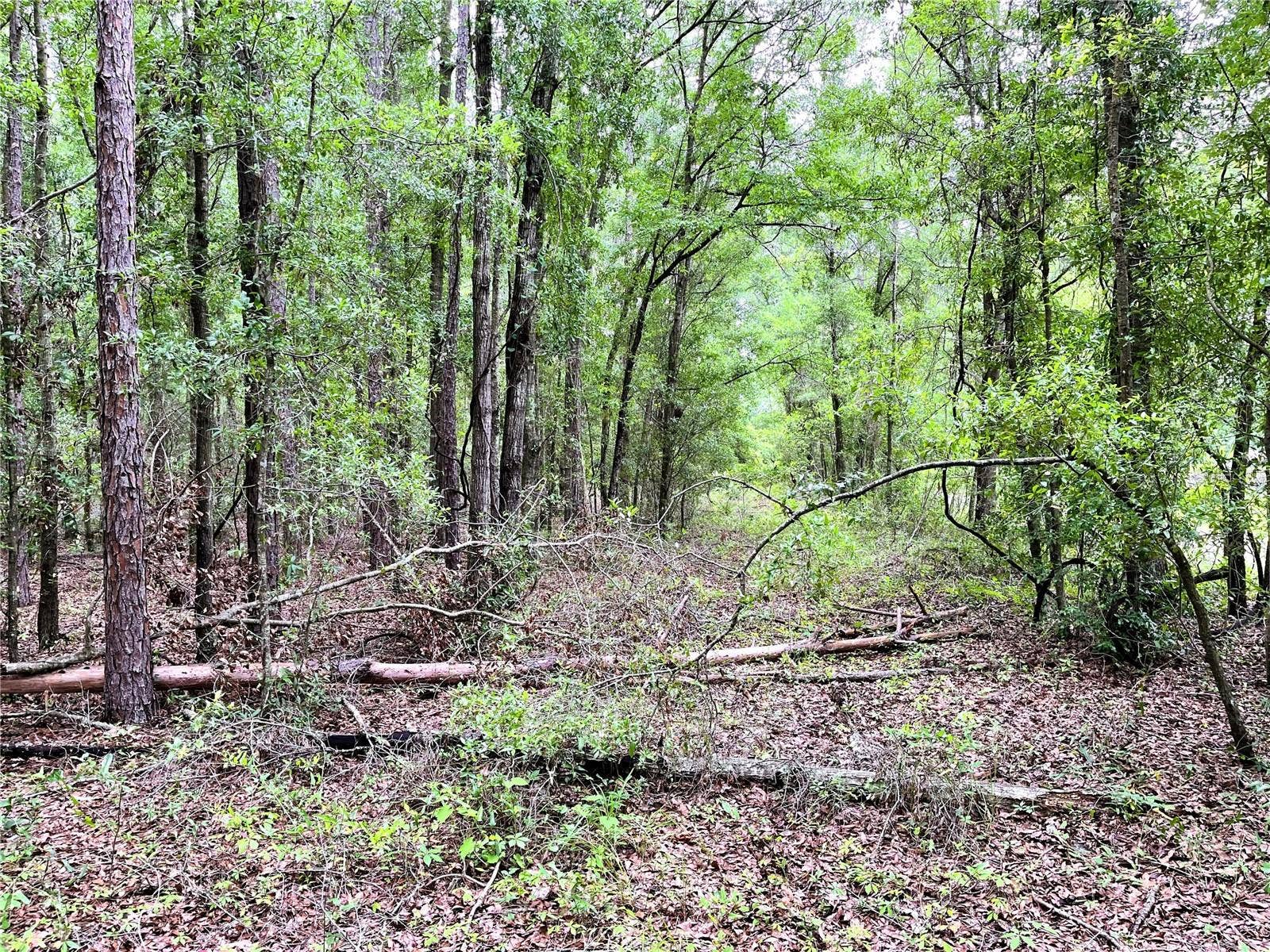 1874 SW NAUTILUS ROAD, Lake City, FL 32024 1874 SW NAUTILUS ROAD, Lake City, FL 32024