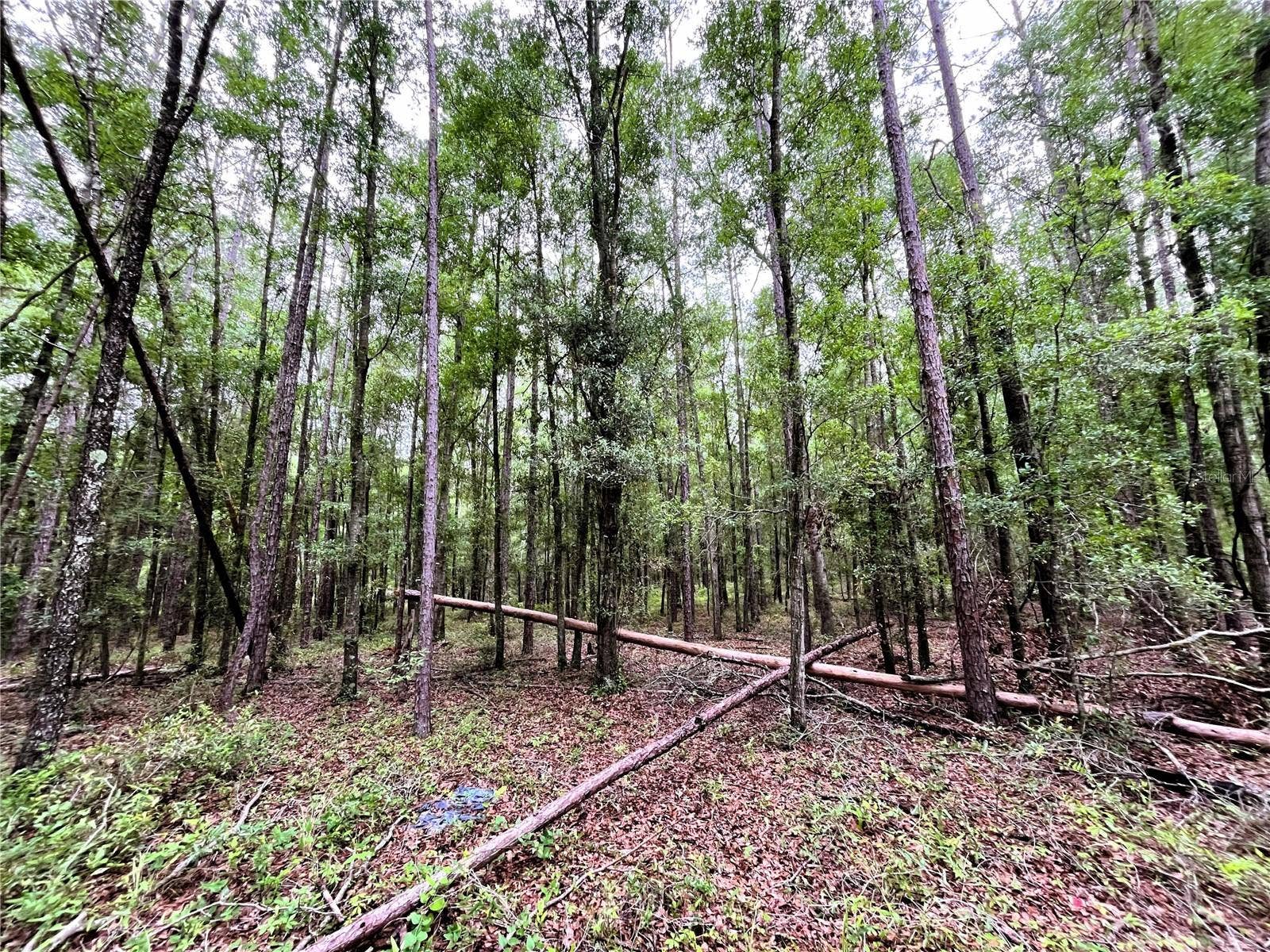 1874 SW NAUTILUS ROAD, Lake City, FL 32024 1874 SW NAUTILUS ROAD, Lake City, FL 32024