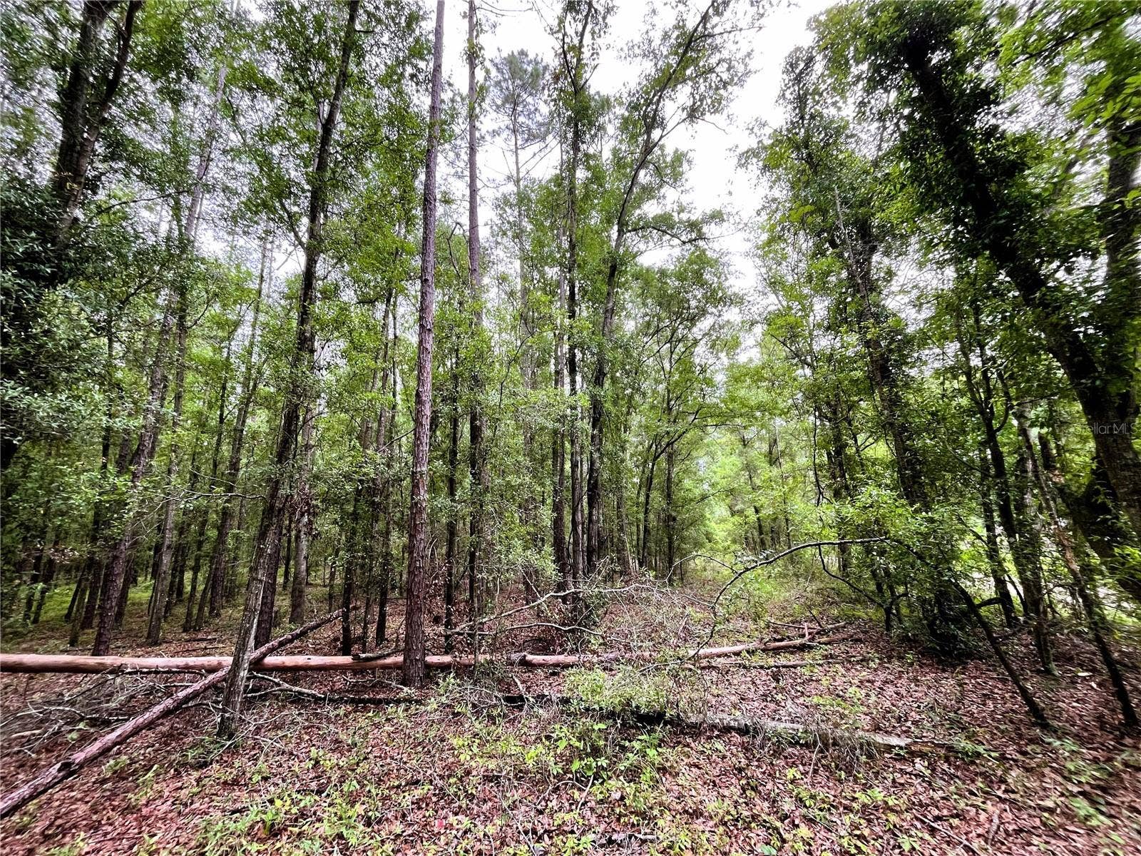 1874 SW NAUTILUS ROAD, Lake City, FL 32024 1874 SW NAUTILUS ROAD, Lake City, FL 32024