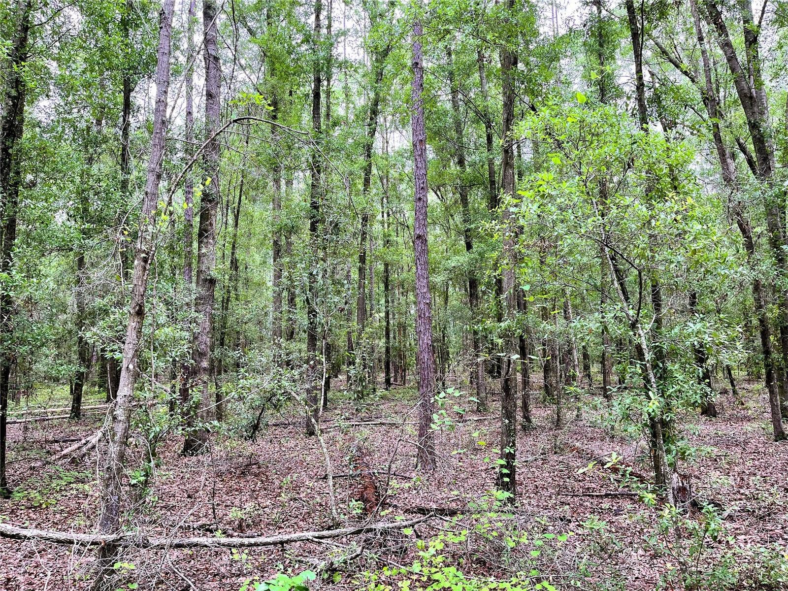 1874 SW NAUTILUS ROAD, Lake City, FL 32024 1874 SW NAUTILUS ROAD, Lake City, FL 32024