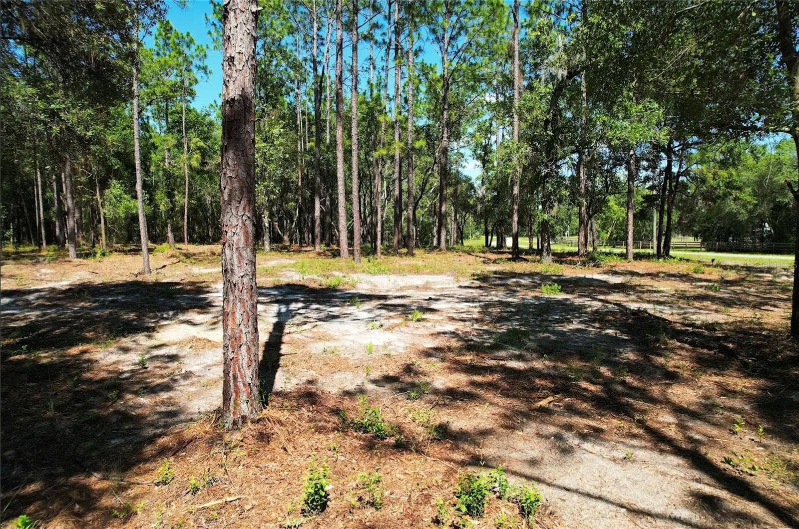 SE COUNTY ROAD 337, Morriston, FL 32668