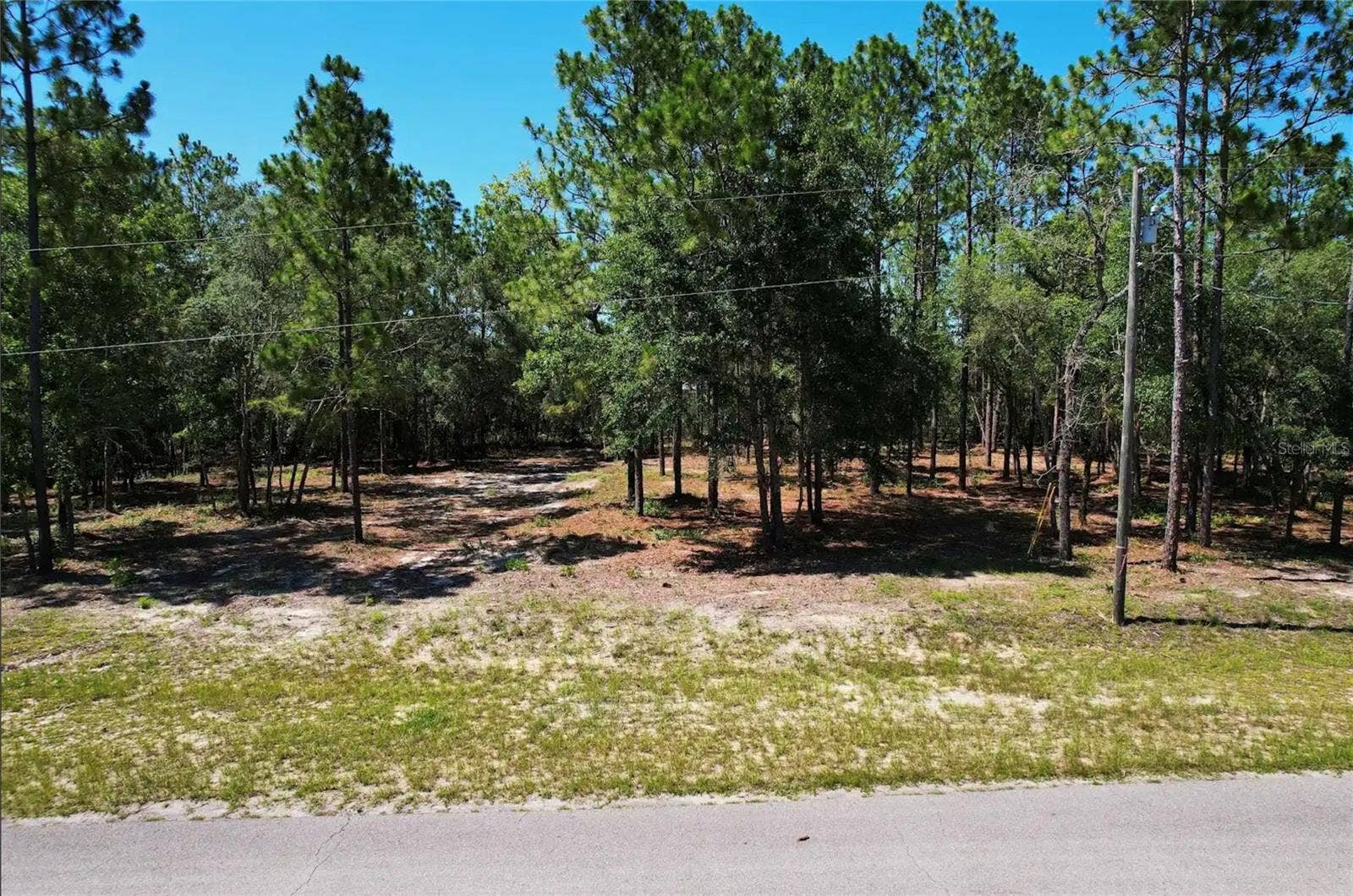SE COUNTY ROAD 337, Morriston, FL 32668