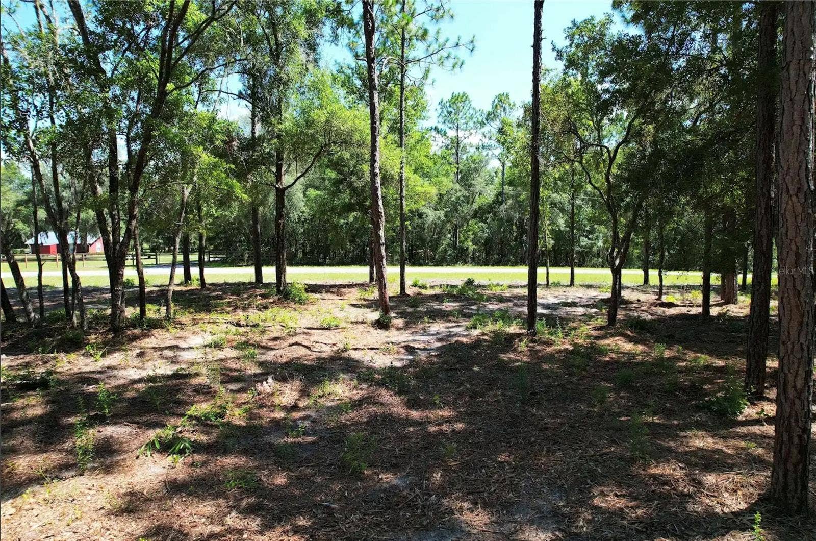 SE COUNTY ROAD 337, Morriston, FL 32668