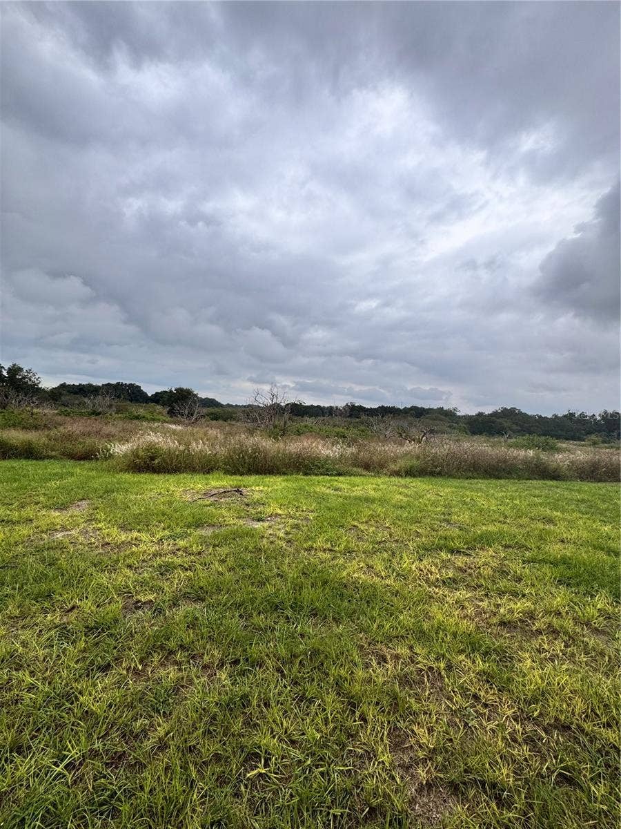 913 AMBLESIDE DRIVE, Haines City, FL 33844 Behind home view