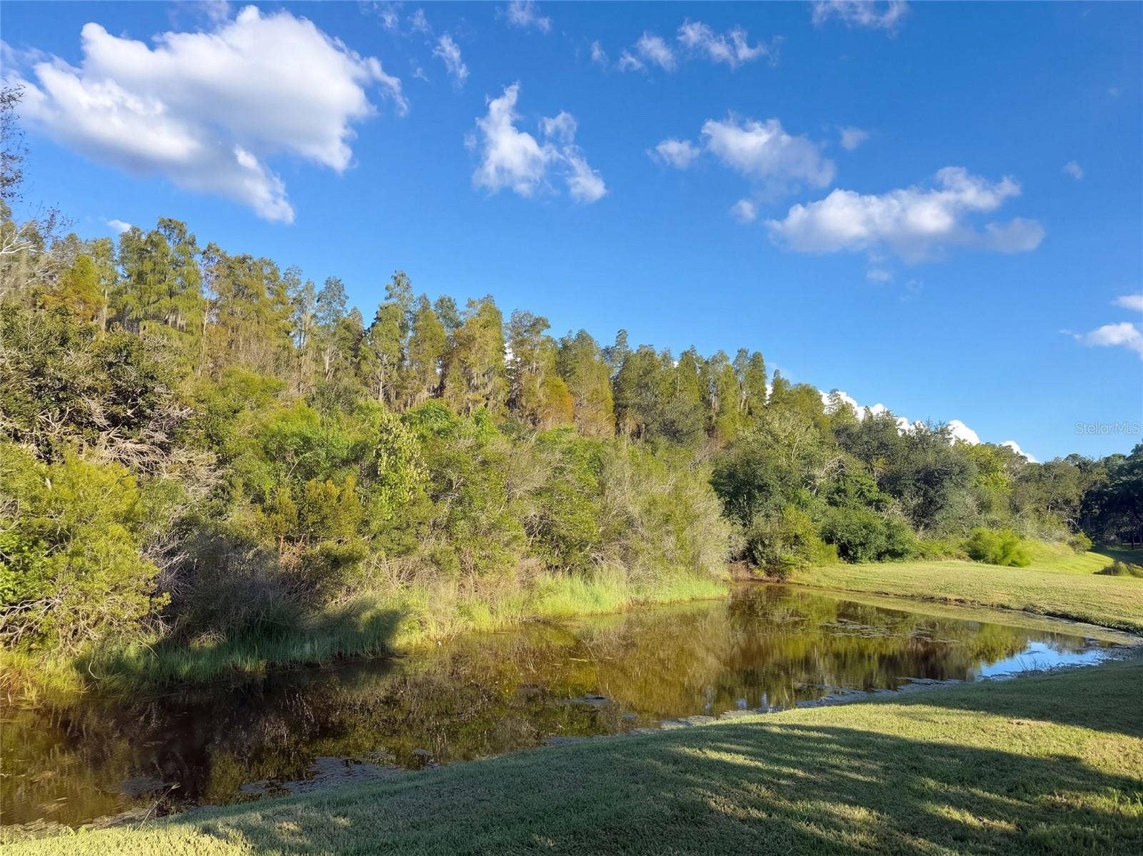 12424 BELCROFT DRIVE, Riverview, FL 33579