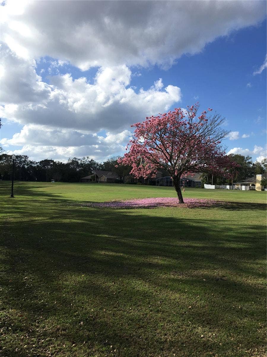 1226 KERSFIELD CIRCLE, Lake Mary, FL 32746 1226 KERSFIELD CIRCLE, Lake Mary, FL 32746