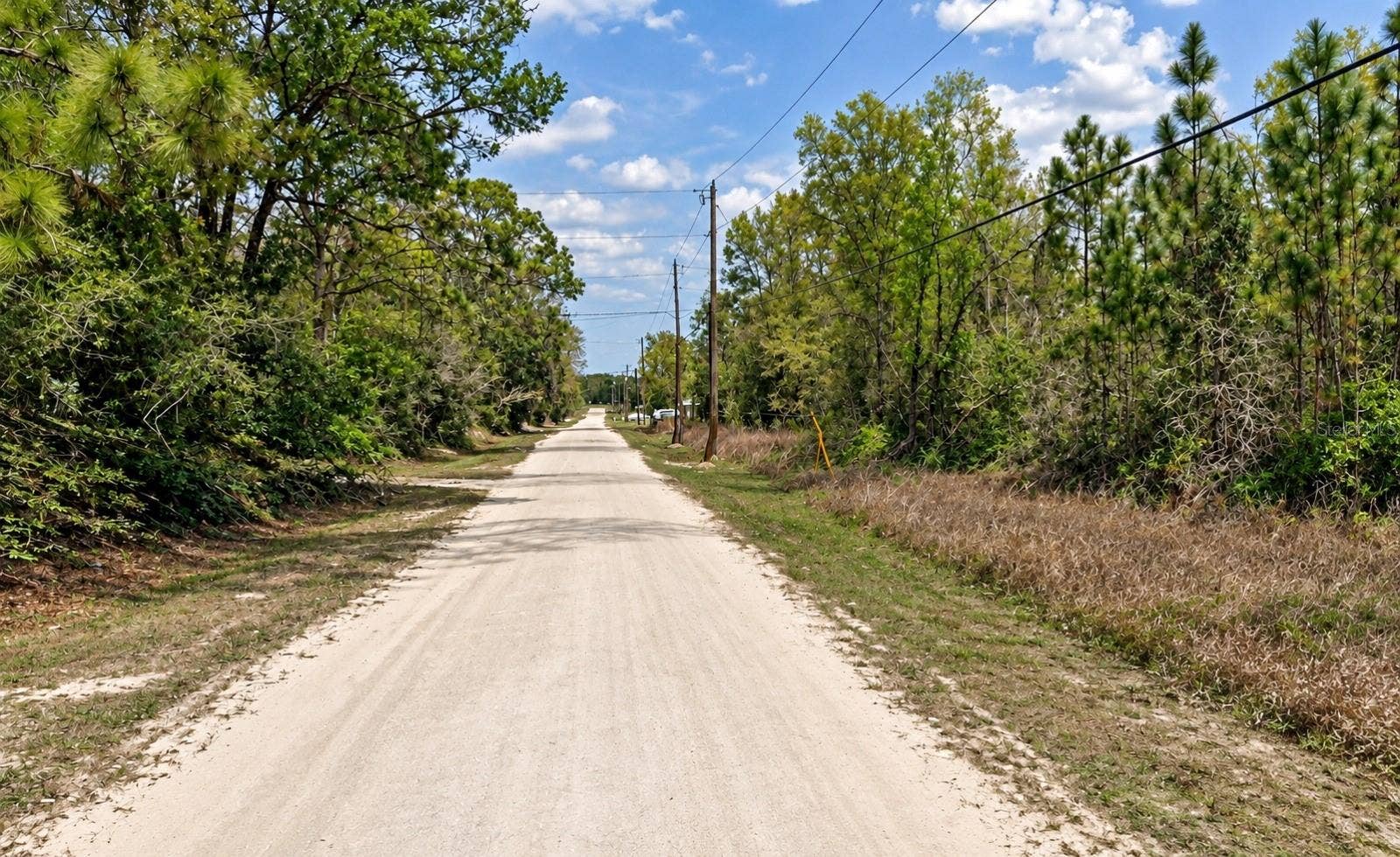 SW 146CT, Ocala, FL 34481 SW 146CT, Ocala, FL 34481