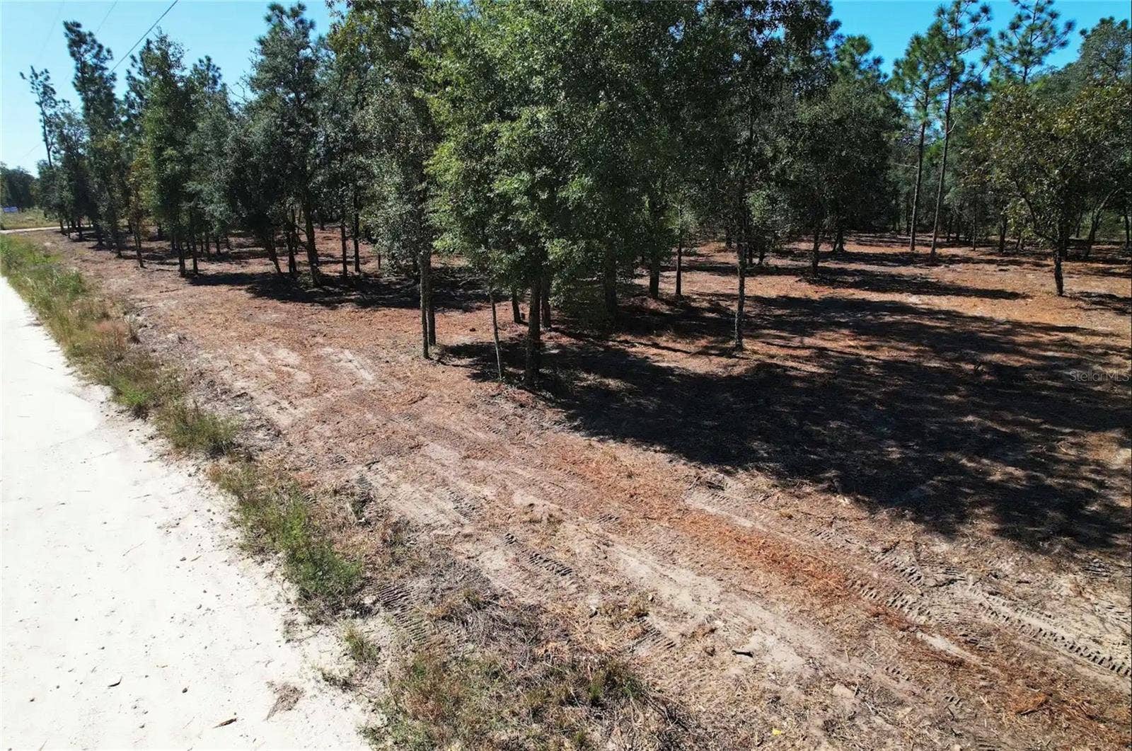 NE 16TH PLACE, Williston, FL 32696