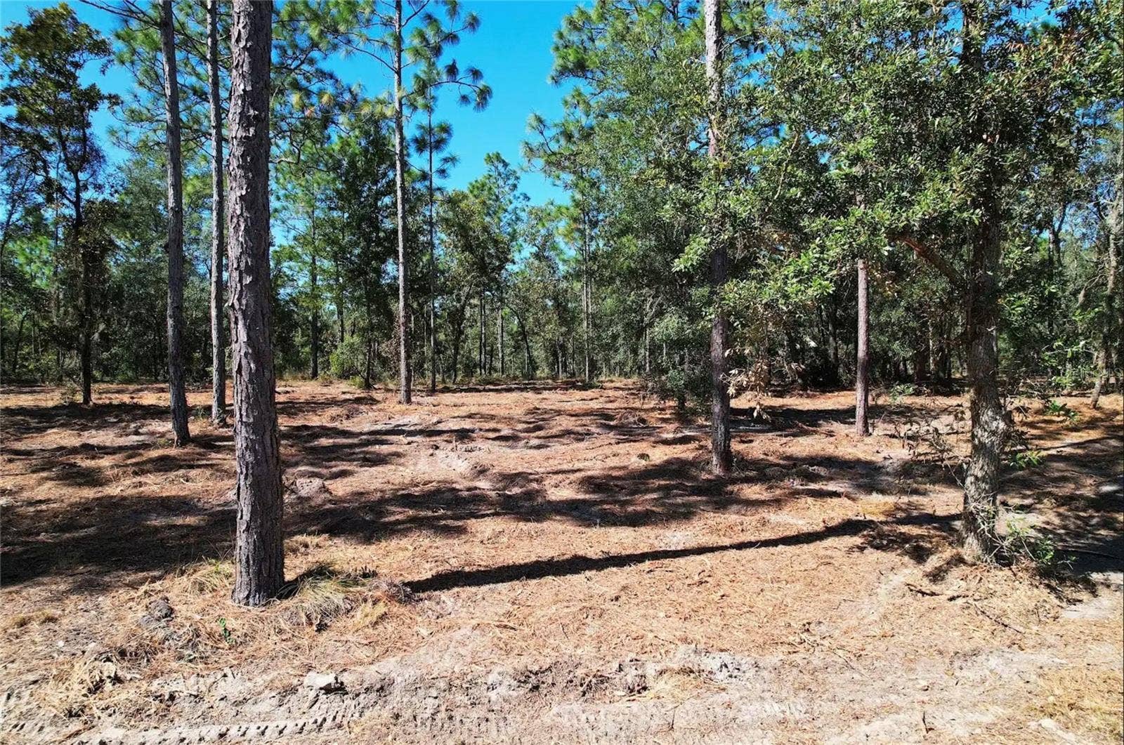 NE 16TH PLACE, Williston, FL 32696