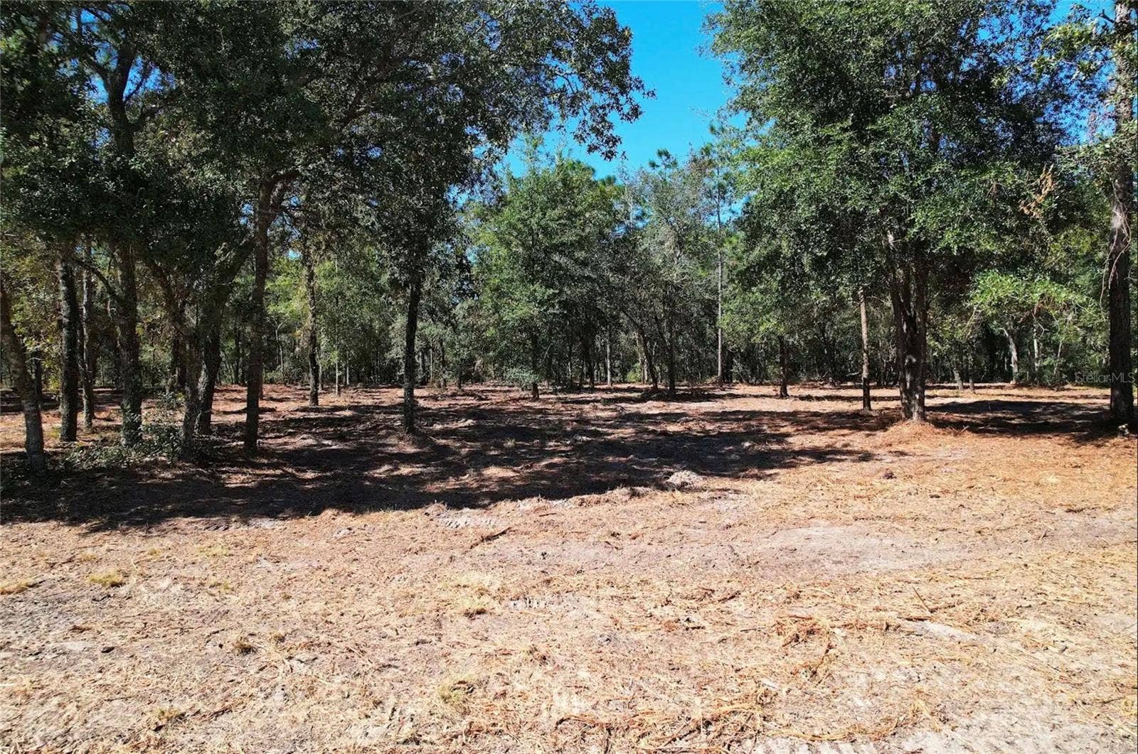 NE 16TH PLACE, Williston, FL 32696