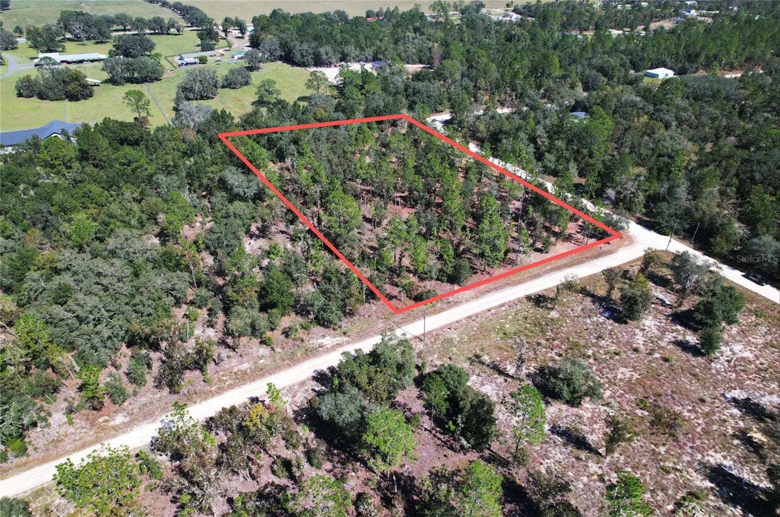 NE 16TH PLACE, Williston, FL 32696