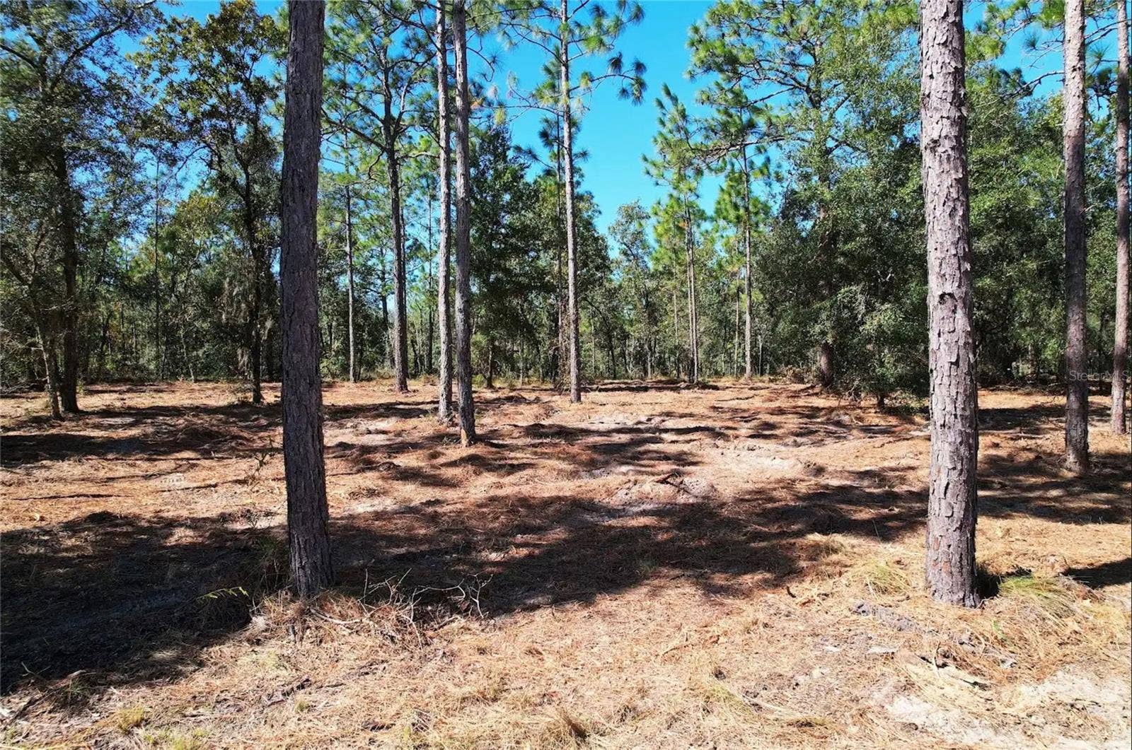 NE 16TH PLACE, Williston, FL 32696