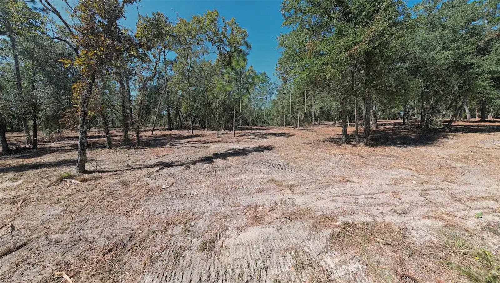 NE 16TH PLACE, Williston, FL 32696