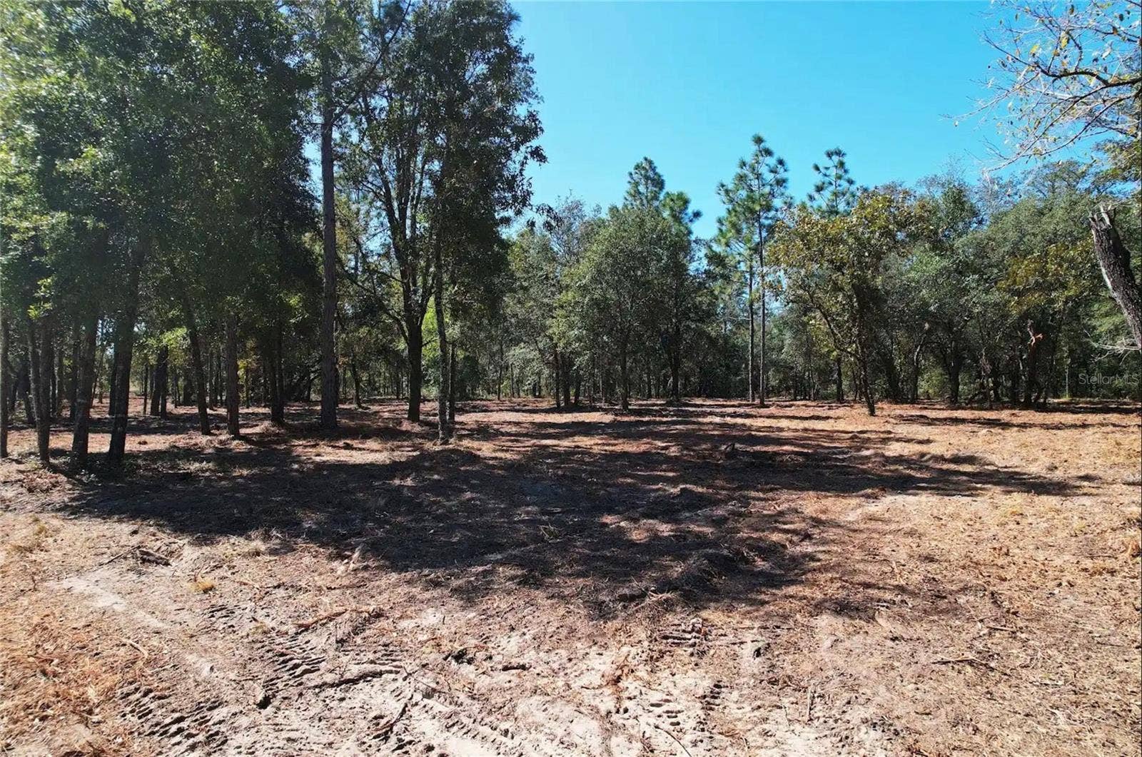 NE 16TH PLACE, Williston, FL 32696