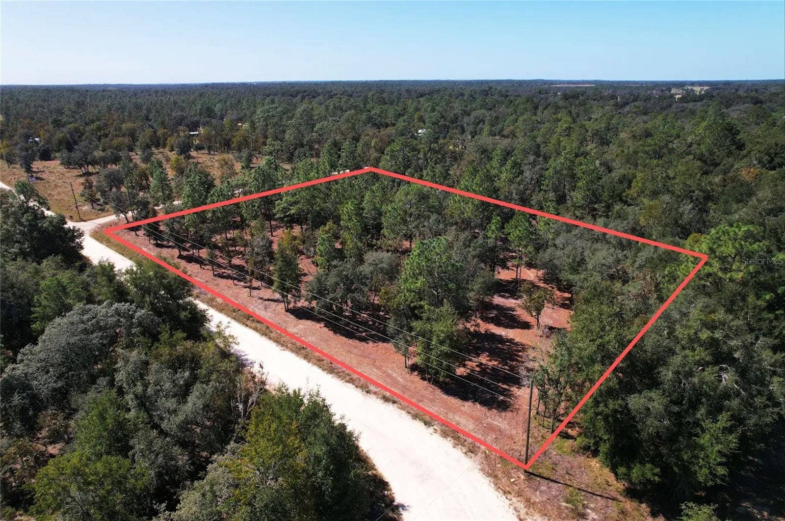 NE 16TH PLACE, Williston, FL 32696