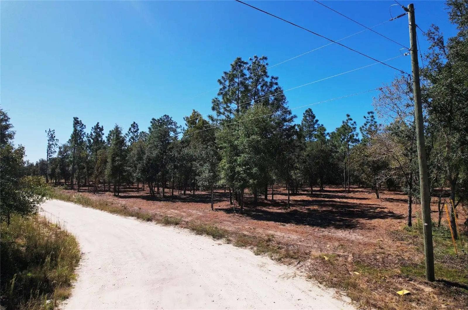 NE 16TH PLACE, Williston, FL 32696