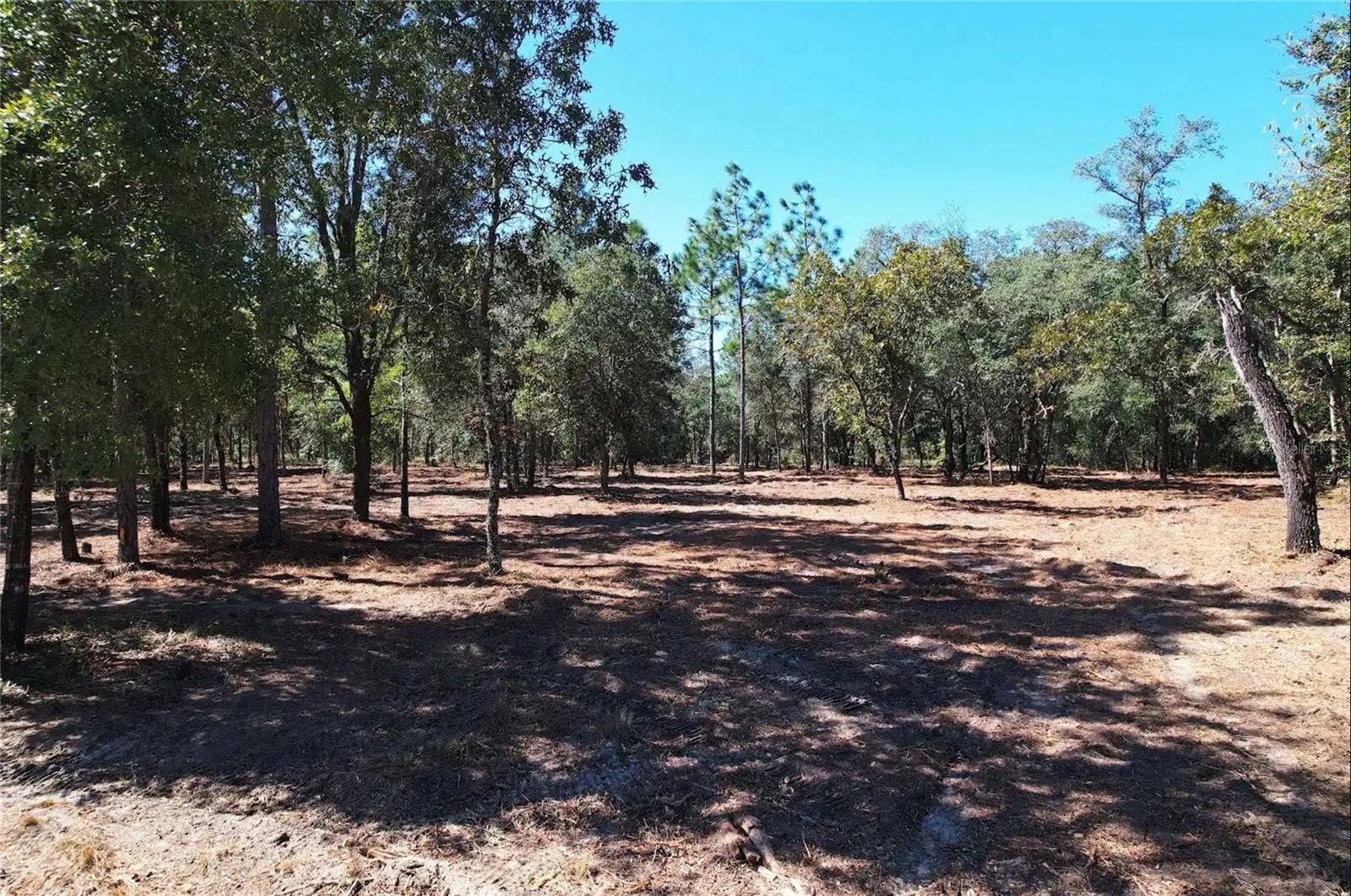 NE 16TH PLACE, Williston, FL 32696