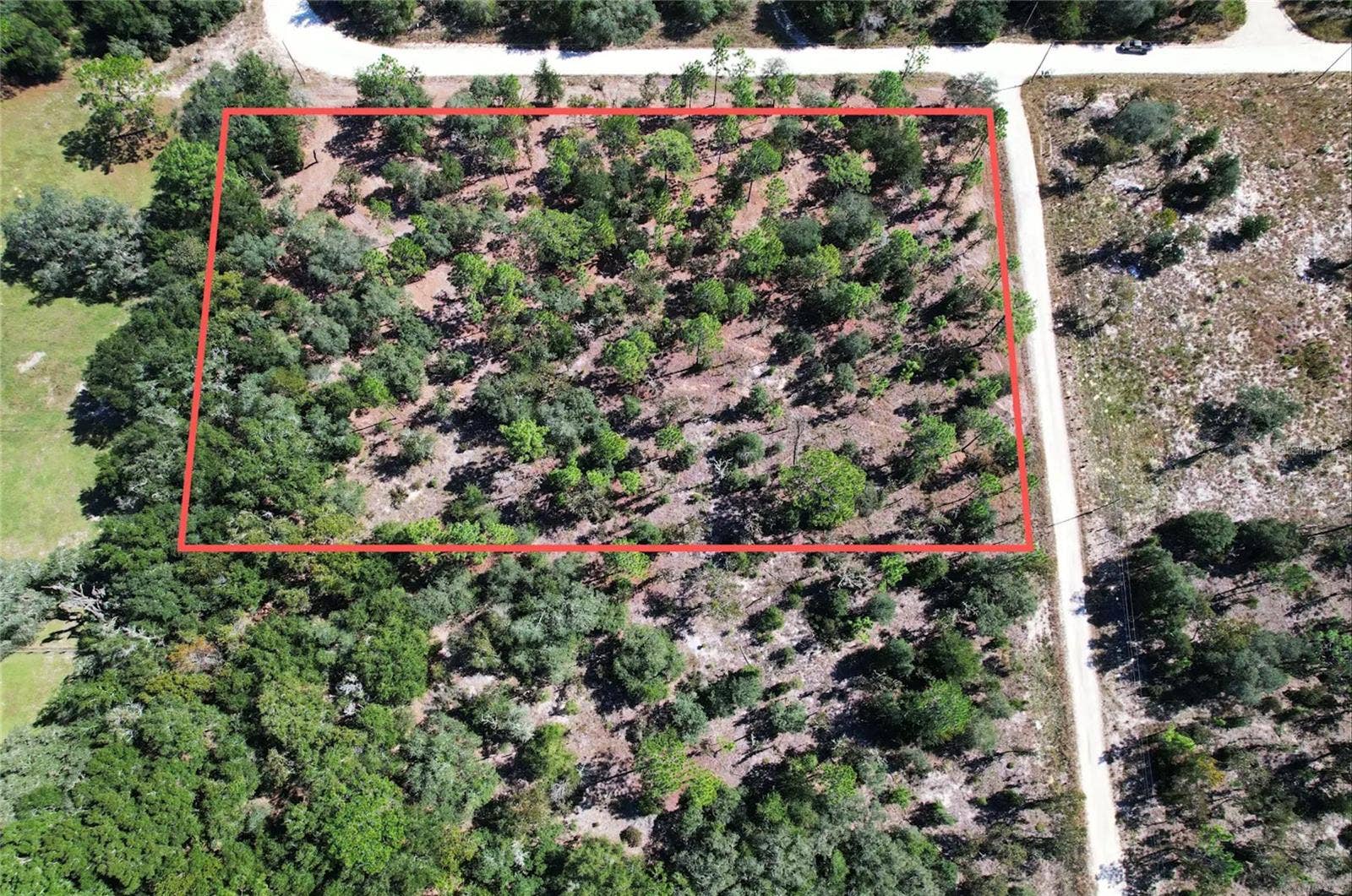 NE 16TH PLACE, Williston, FL 32696