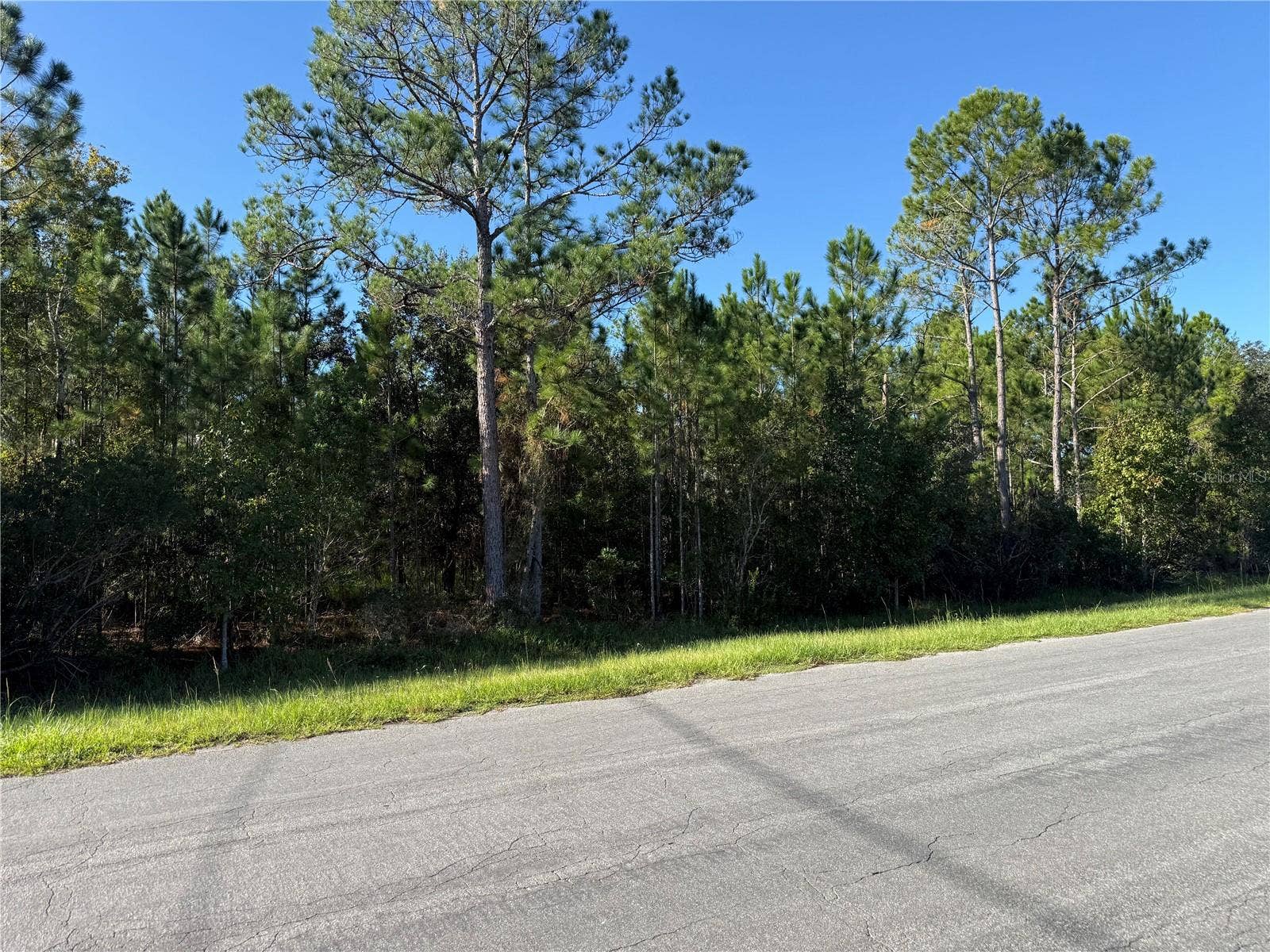 REYNOLDS PARKWAY, Orlando, FL 32833 REYNOLDS PARKWAY, Orlando, FL 32833