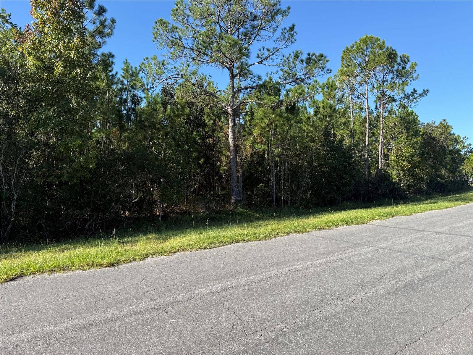 REYNOLDS PARKWAY, Orlando, FL 32833 REYNOLDS PARKWAY, Orlando, FL 32833