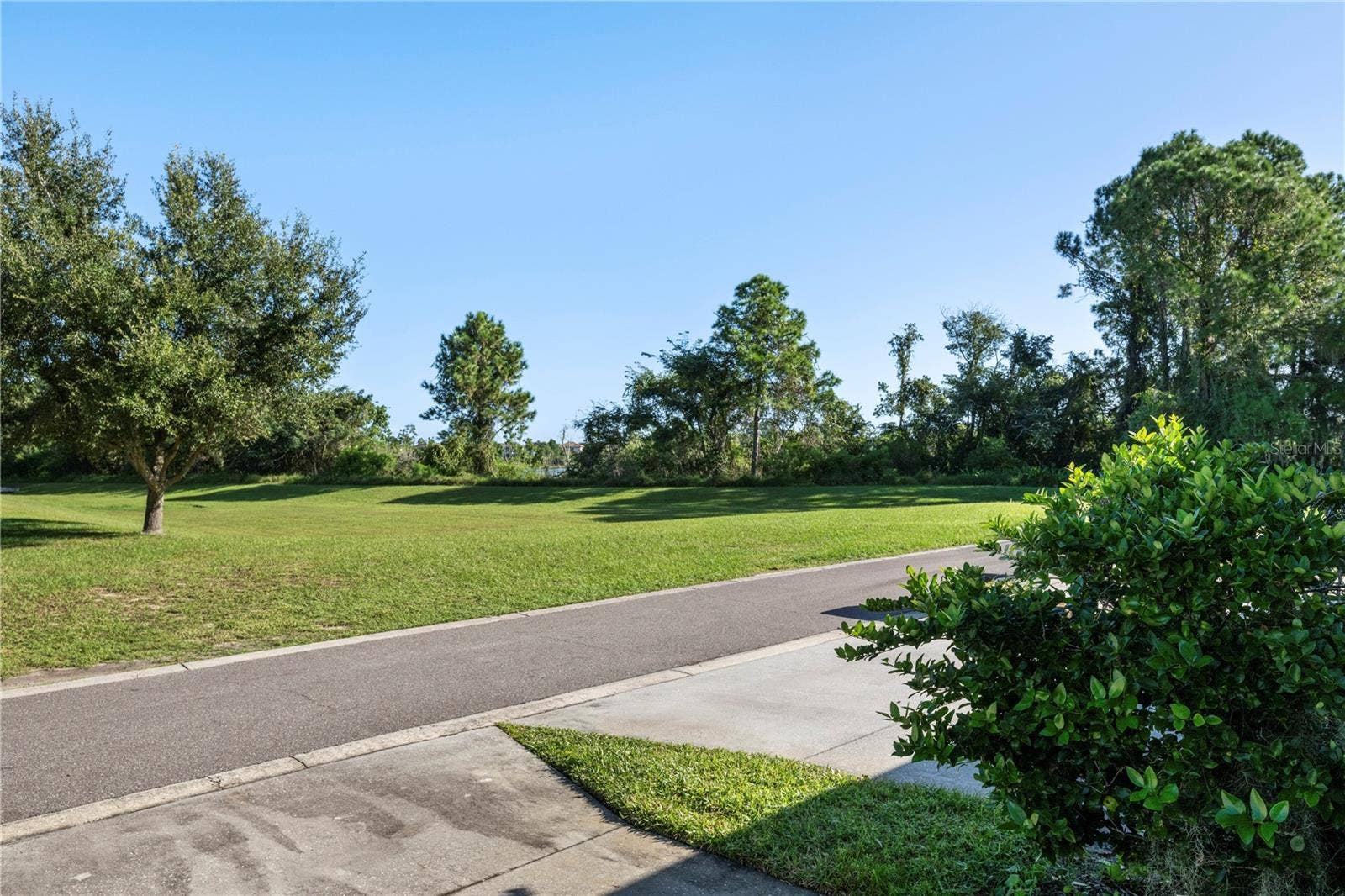 8516 DANFORTH DRIVE, Windermere, FL 34786 Rear Conservation space