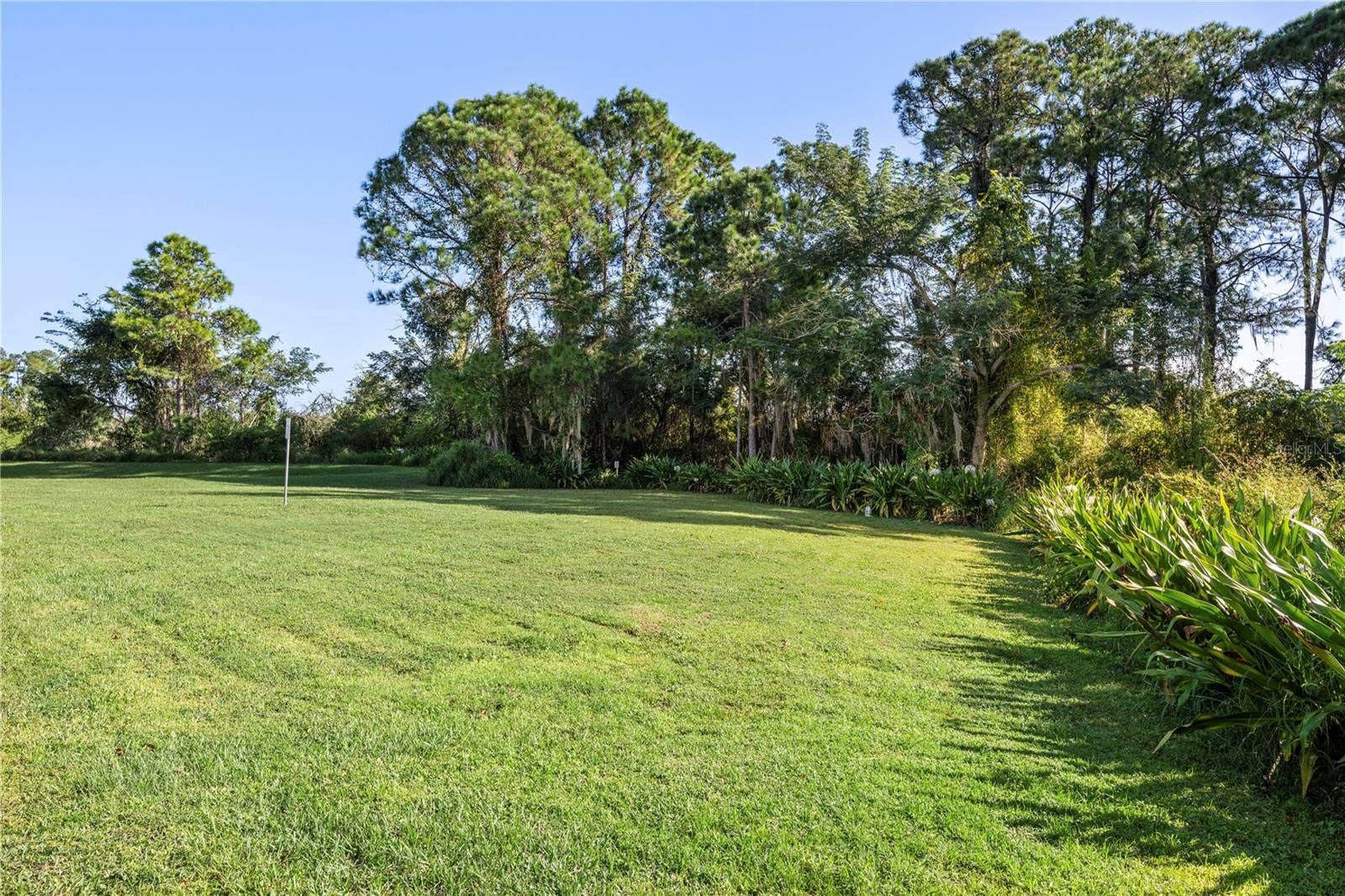 8516 DANFORTH DRIVE, Windermere, FL 34786 Conservation space throughout