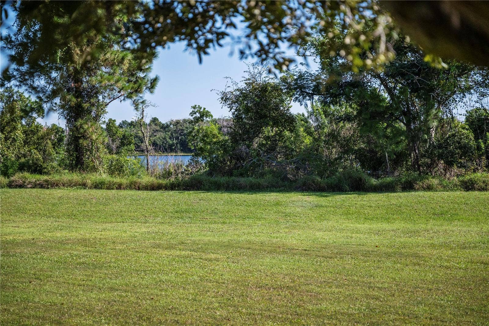 8516 DANFORTH DRIVE, Windermere, FL 34786 Lake views