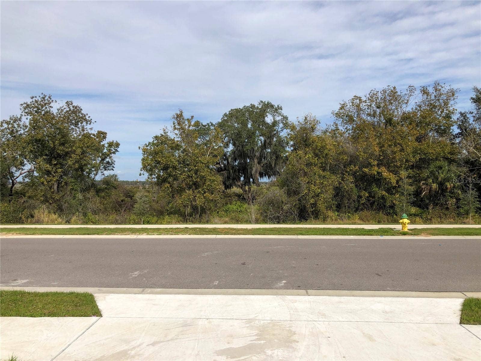 9511 OGLETHORPE DRIVE, Groveland, FL 34736 No neighbors to the front.