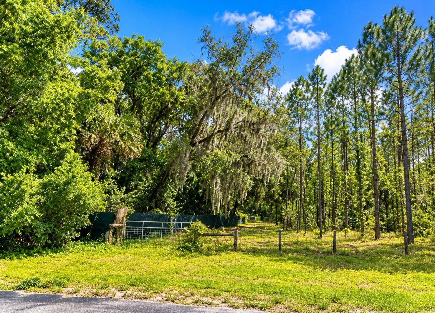000 CR 309, Satsuma, FL 32189 000 CR 309, Satsuma, FL 32189