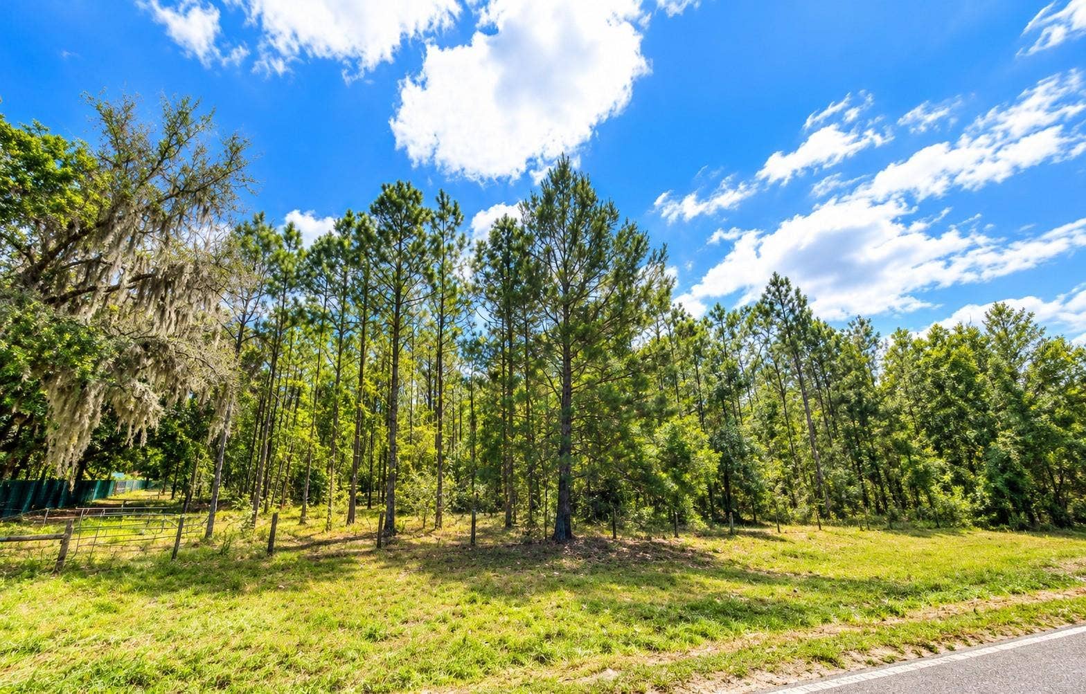 000 CR 309, Satsuma, FL 32189 000 CR 309, Satsuma, FL 32189