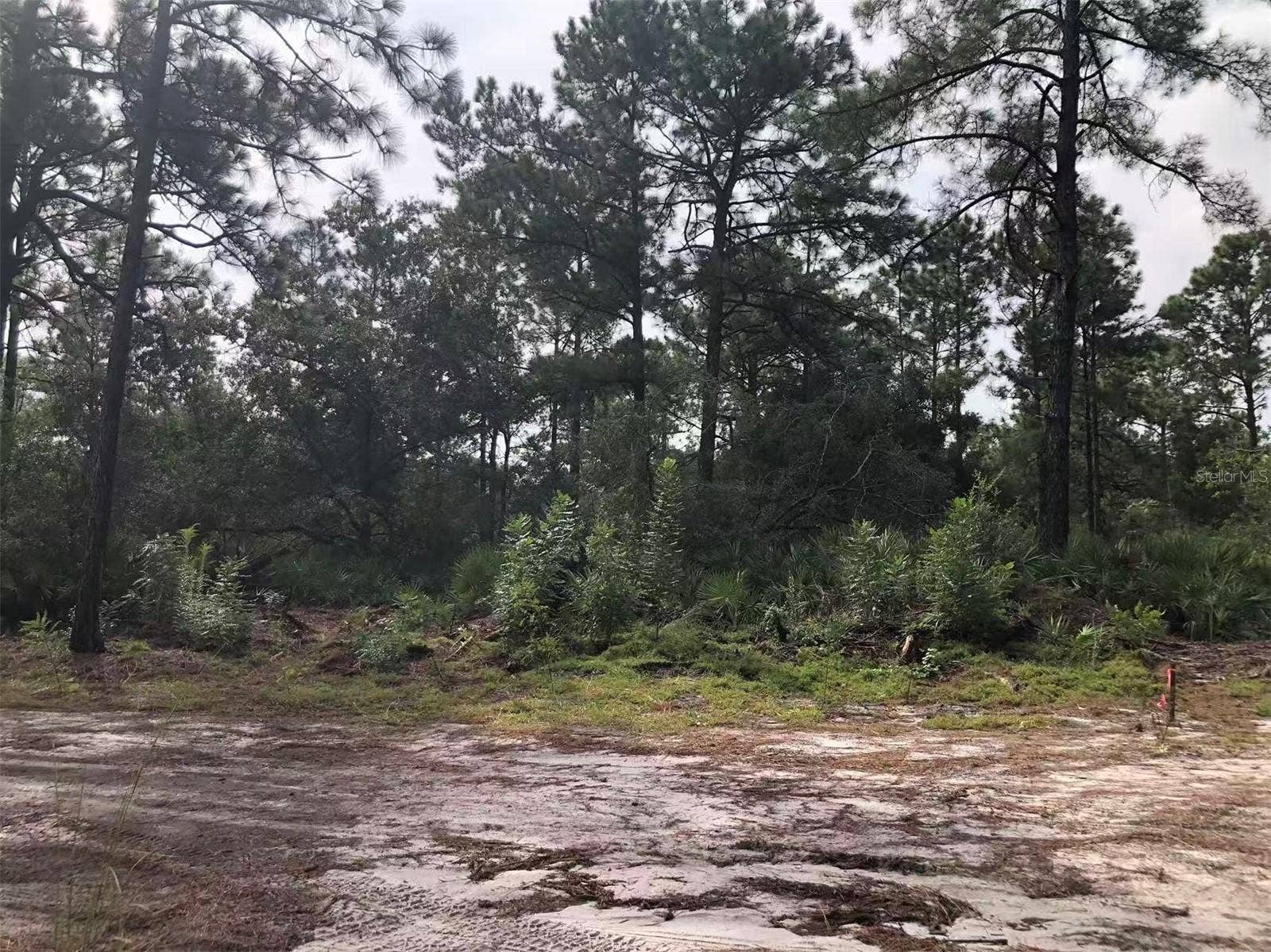Lot 228 PARK FOREST BOULEVARD, #Lot 228, Mount Dora, FL 32757 Lot 228 PARK FOREST BOULEVARD, #Lot 228, Mount Dora, FL 32757