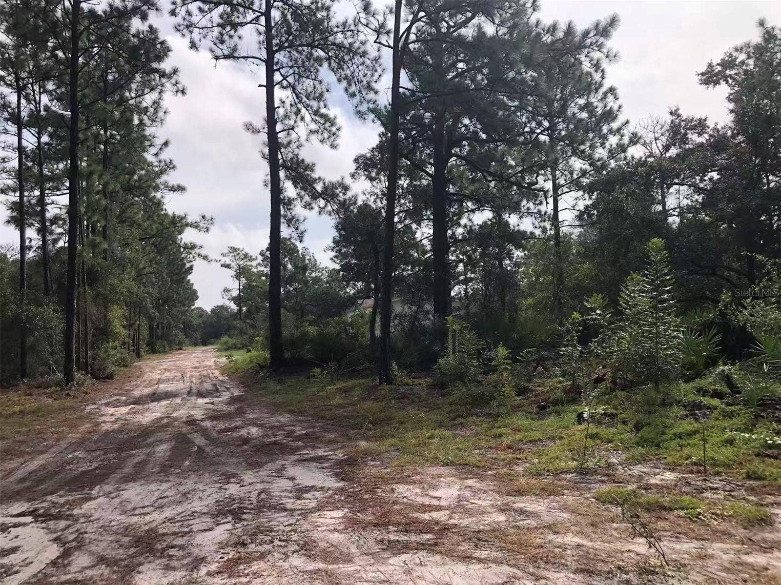 Lot 228 PARK FOREST BOULEVARD, #Lot 228, Mount Dora, FL 32757 Lot 228 PARK FOREST BOULEVARD, #Lot 228, Mount Dora, FL 32757
