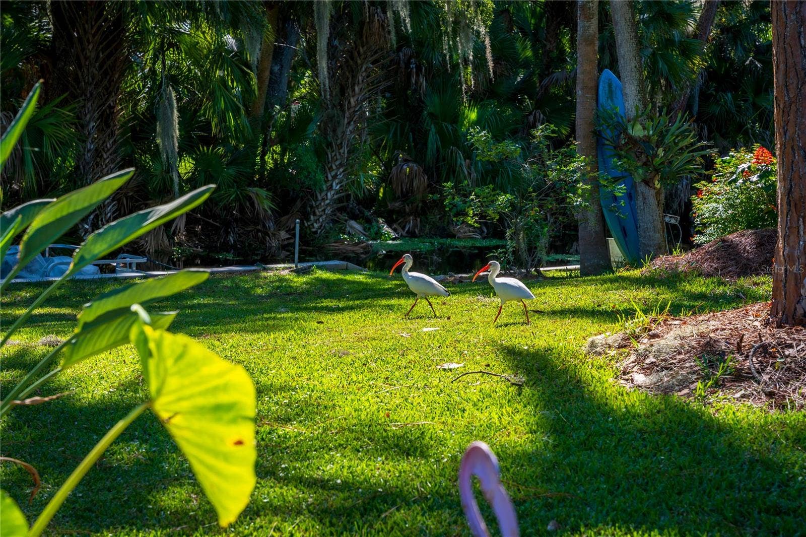 130 PINEY RIDGE, Eustis, FL 32726 Backyard